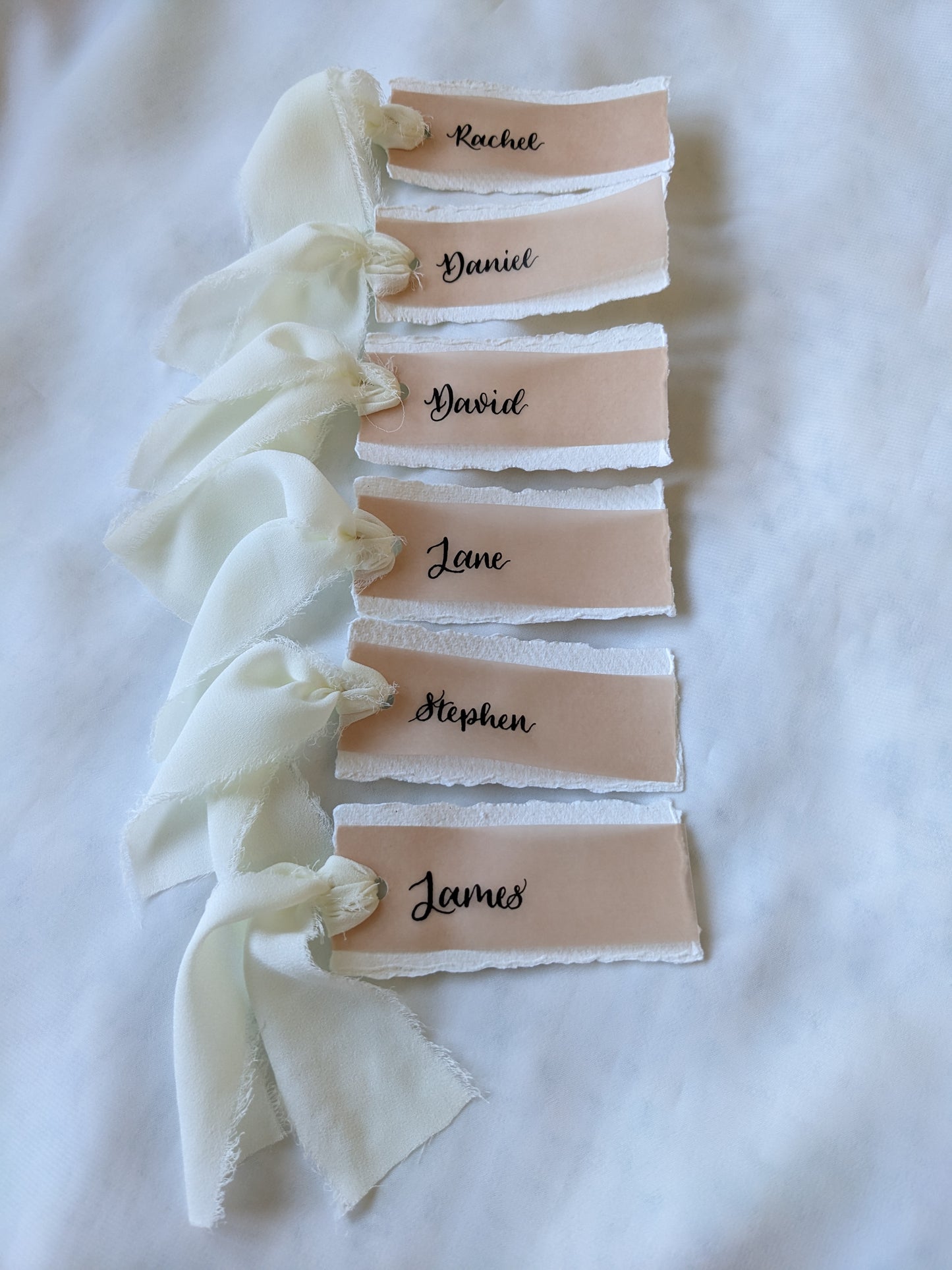 Handmade card, vellum and ribbon place names